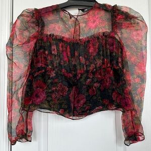 Zara Organza Blouse